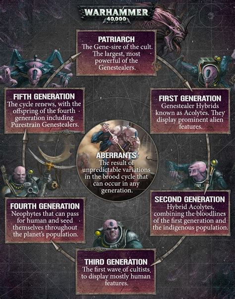 Warhammer fantasy witcj infographics